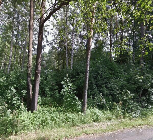 Банкомат ЮниКредита по адресу пос. Комарово, Приморское ш., д. 452, лит. А, ресторан «Русская рыбалка»