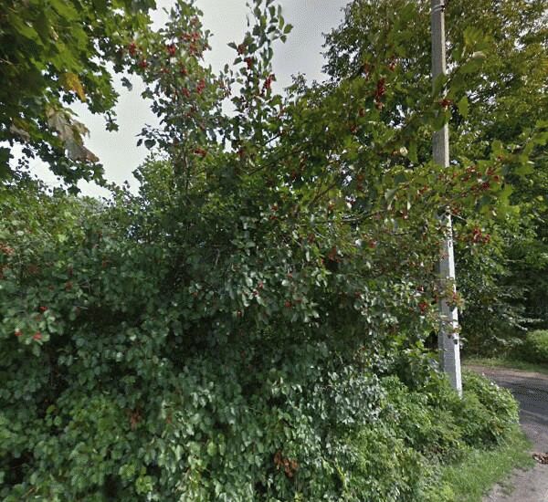 Банкомат Банка Санкт-Петербург по адресу Зеленогорск, Ленина пр., д. 25/2, ООО «Фрост»