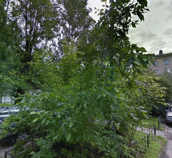 Банкомат Почта Банка по адресу ул. Сестрорецкая,  д. 7