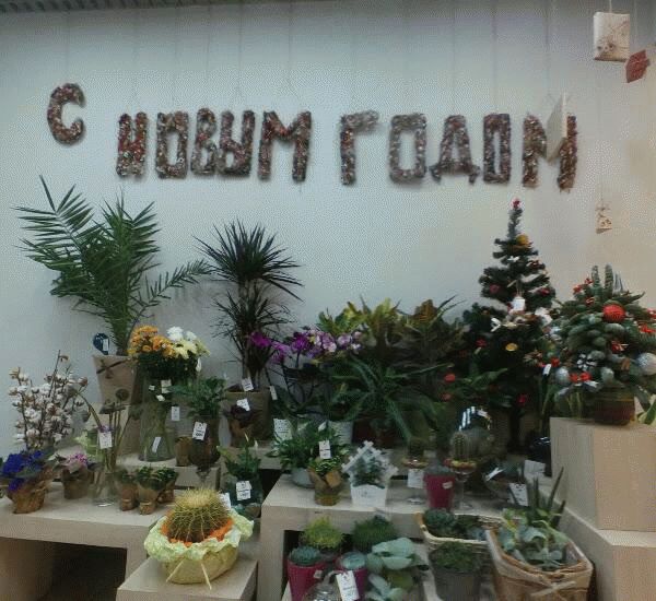 Банкомат Тинькофф Банка по адресу ш. Пулковское,  д. 17,  корп. 2