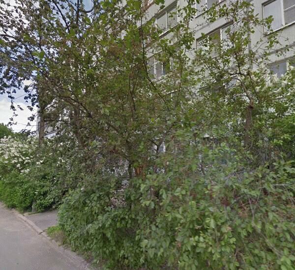 Банкомат Сбербанка России по адресу г. Волхов, пр. Державина, д. 38, магазин «Меркурий»