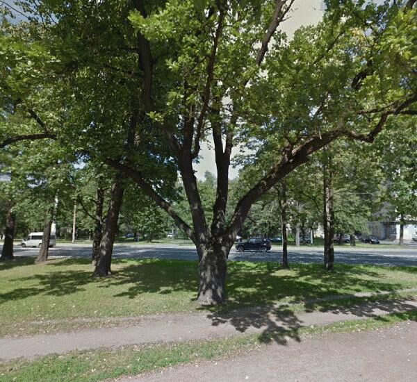 Банкомат Сбербанка России по адресу пр. Тореза, д. 20, оф. банка