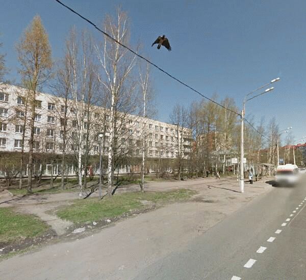 Банкомат банка Александровский по адресу г. Пушкин, Красносельское ш., д. 33, Матвеев и партнеры