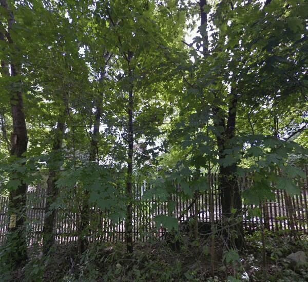 Отделение Сбербанка России по адресу пос. Рощино, ул. Шалавина, д. 49