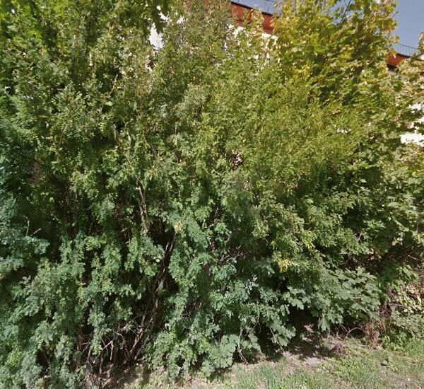 Отделение Россельхозбанка по адресу Красное Село,  ул. Массальского,  д. 4а